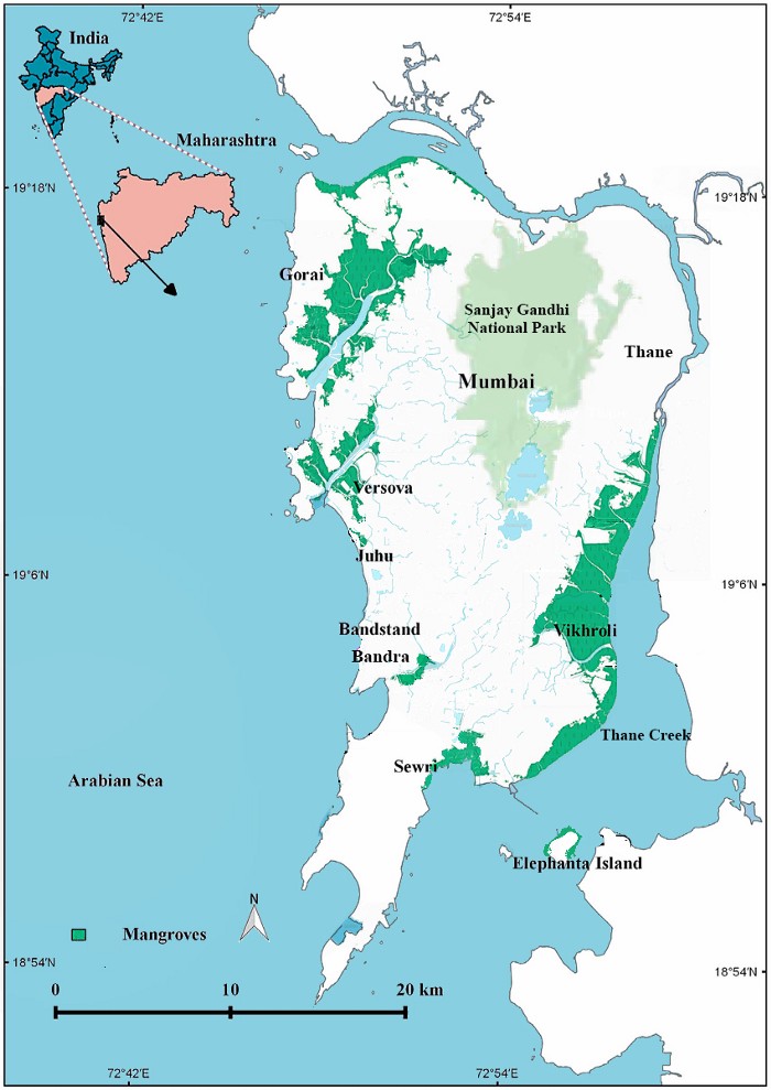 Map of flamingo migration in India