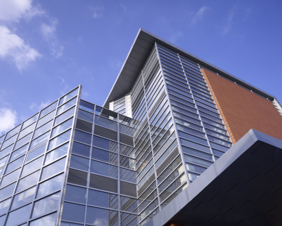 Concordia International School Shanghai 10