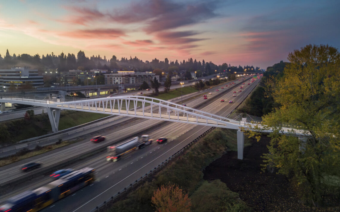 John Lewis Memorial Bridge 1