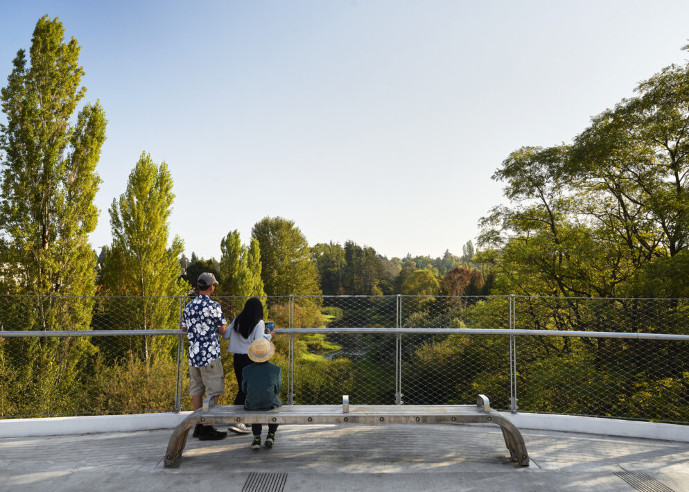 John Lewis Memorial Bridge 2