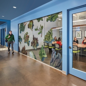 Photo of America’s Test Kitchen