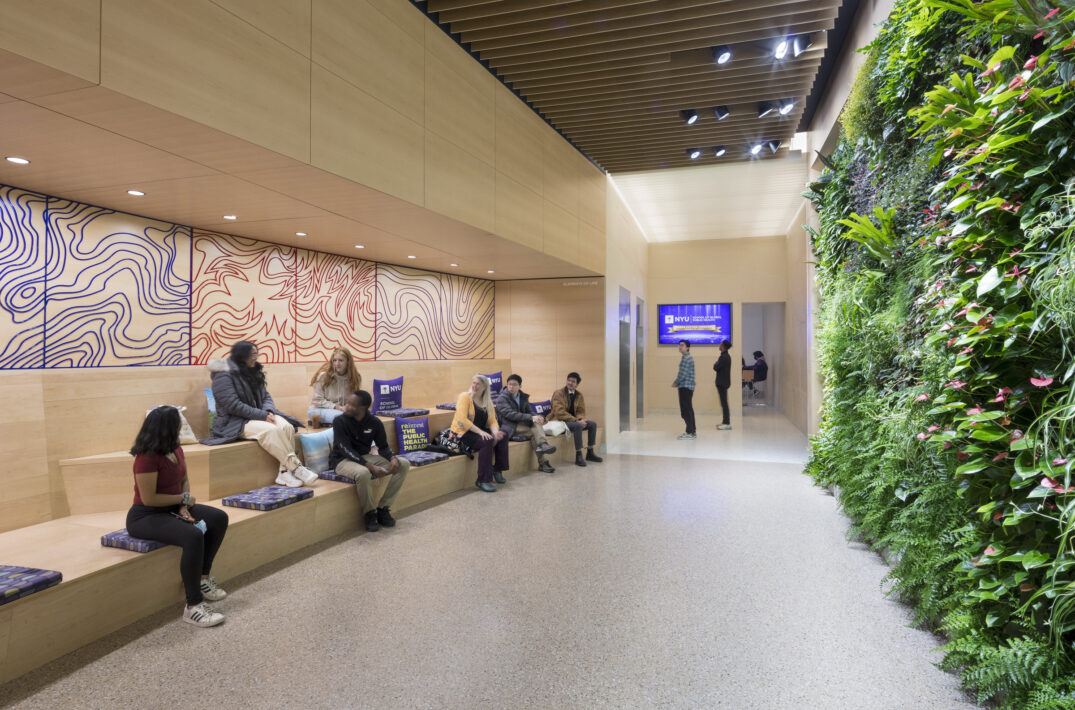 NYU School of Global Public Health 5