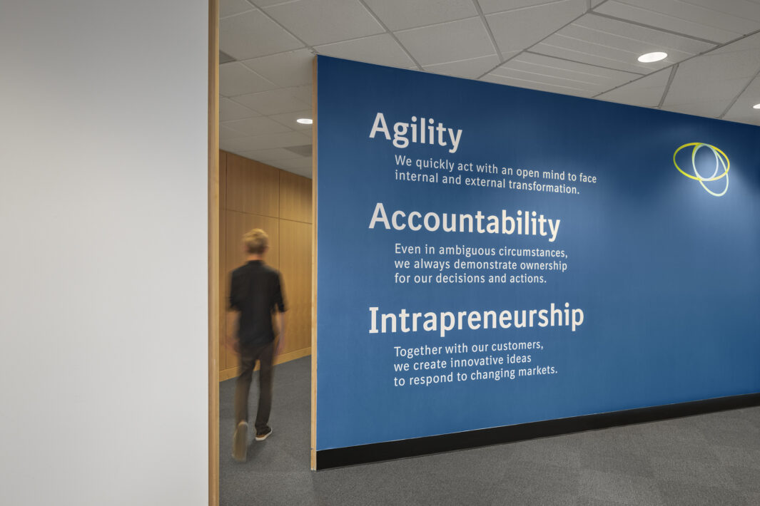 Boehringer Ingelheim: Branded Graphics 1