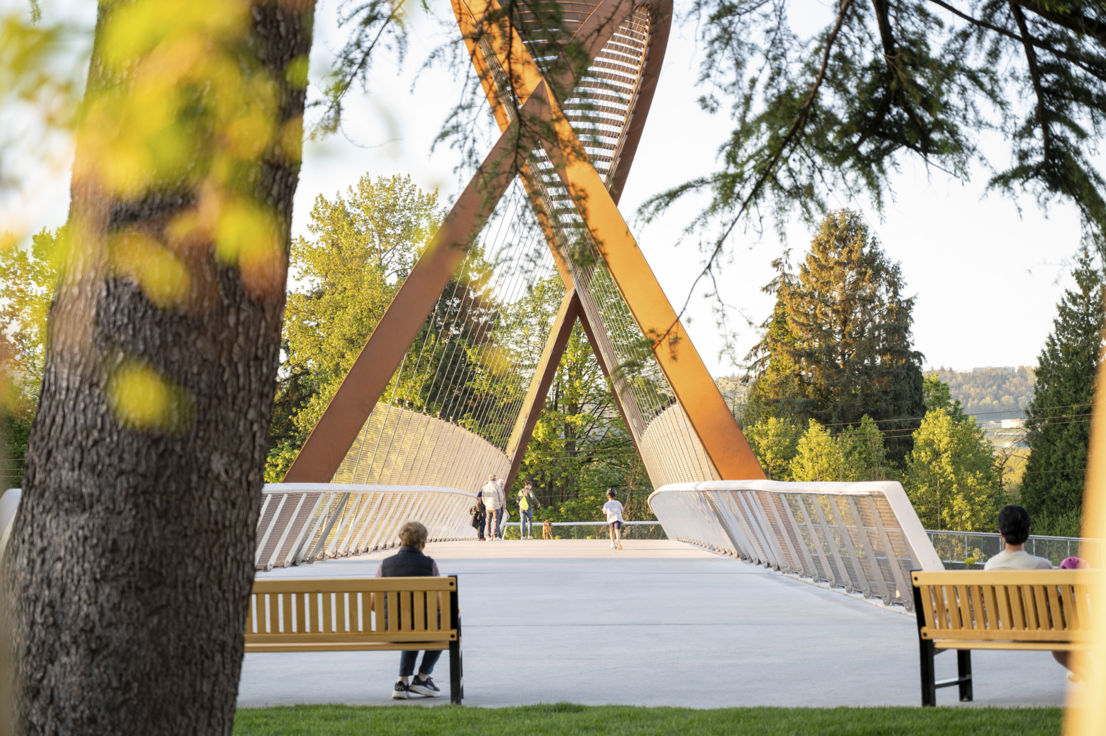 Burnaby Lake Pedestrian Bridge