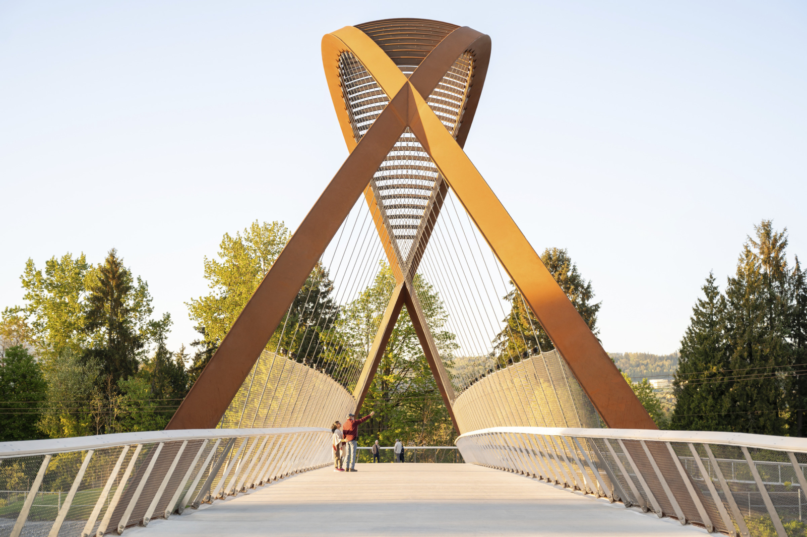 Burnaby Lake Pedestrian Bridge