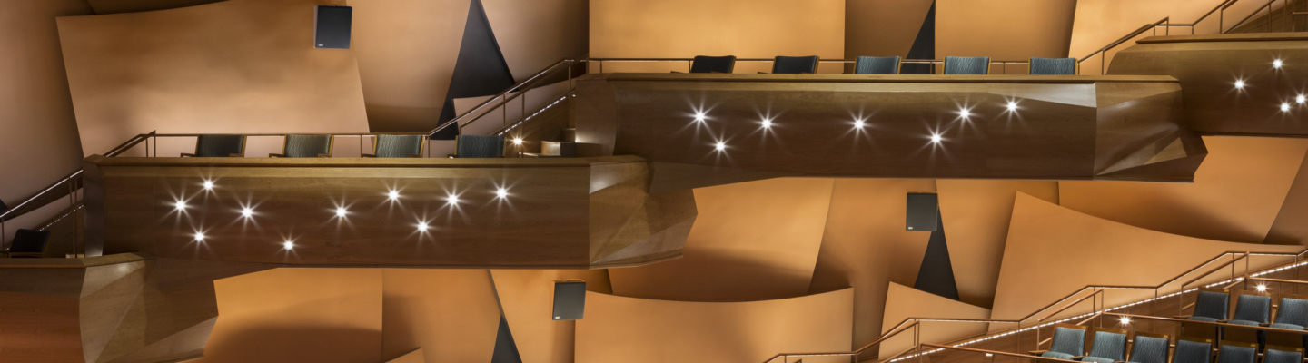 Chapman University Musco Center for the Arts 4