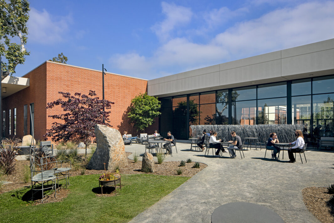 CSU Long Beach Carolyn Campagna Kleefeld Contemporary Art Museum 1