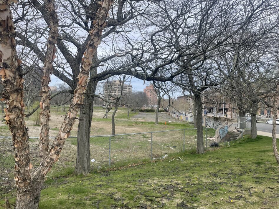 City of New Haven: The Hill to Downtown Planning and Technical Services 4