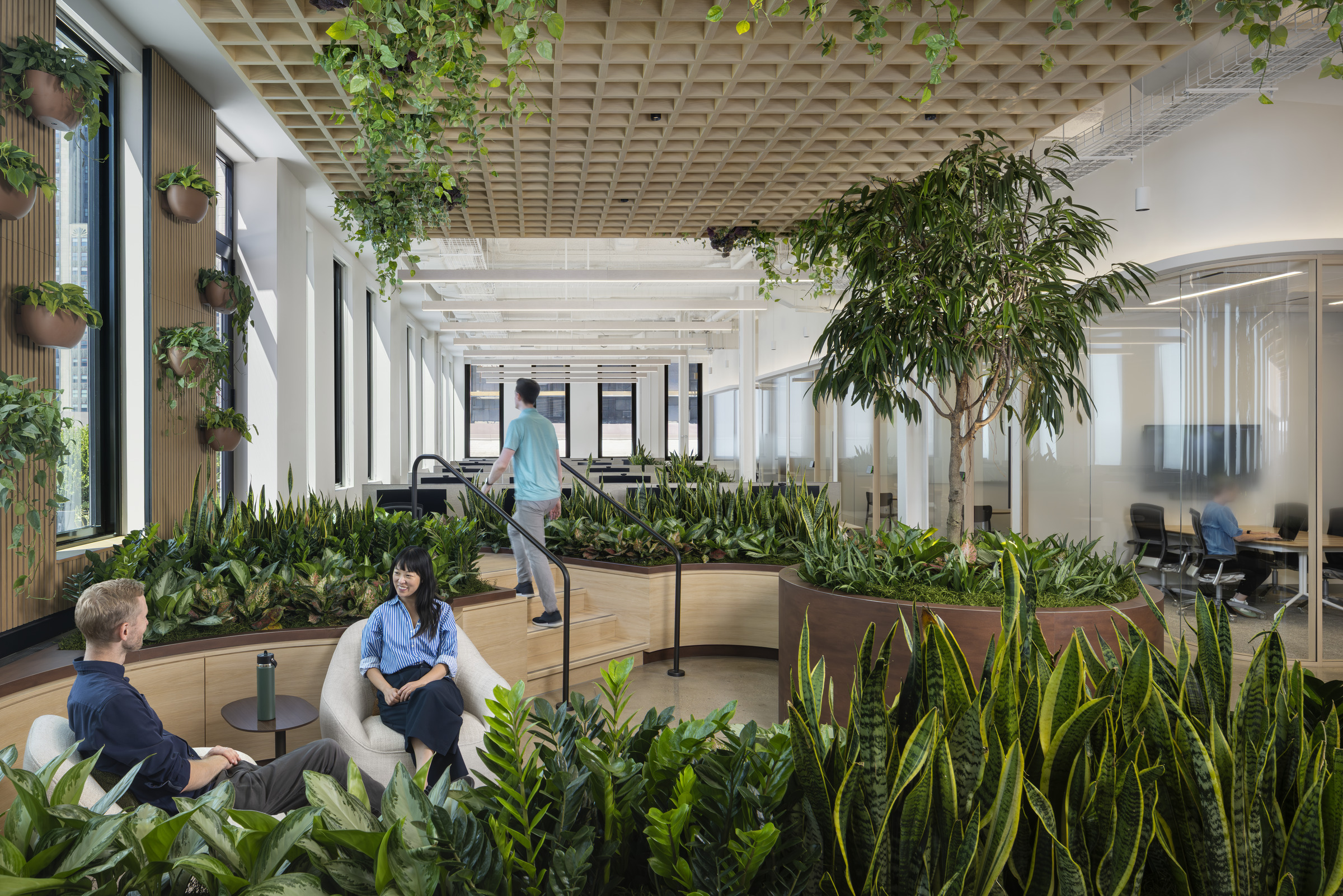 The biophilic elements of the Tree of Life lounge at an asset management firm in New York embody a key wellness trend.
